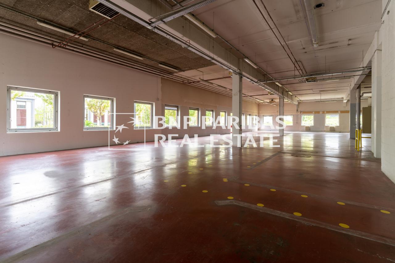 Local d'activité Antony 2535m² Location local d'activité Antony Hauts-de-Seine OLACT2309797 2